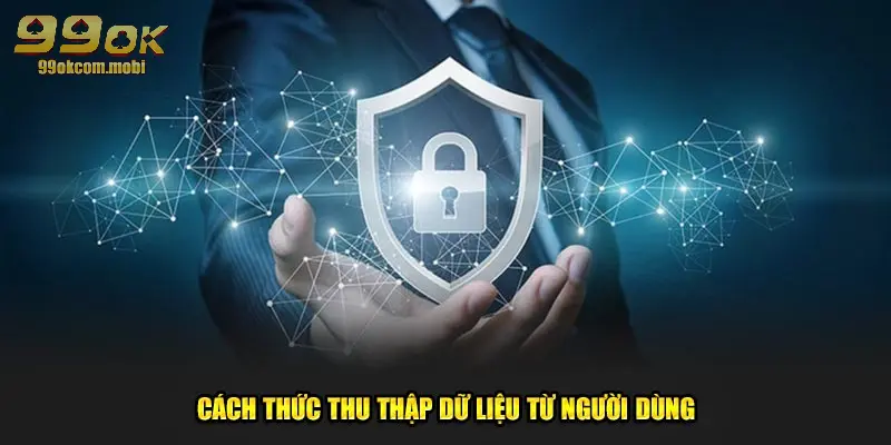 Hình thức thu thập dữ liệu