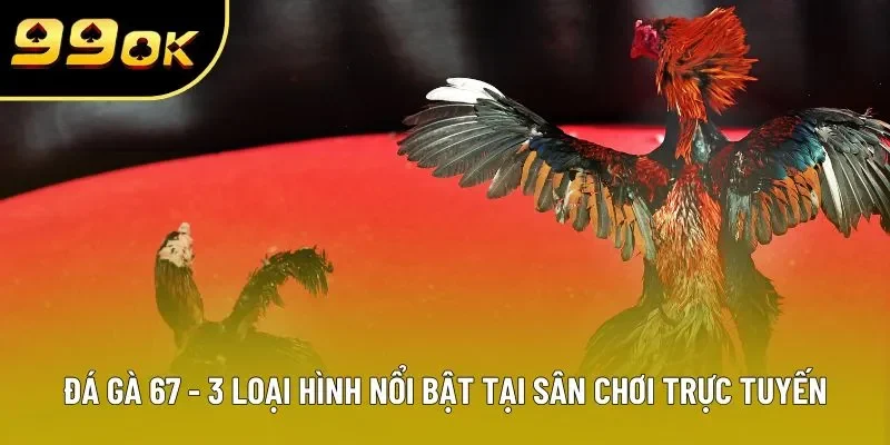 da ga 67 3 loai hinh noi bat tai san choi truc tuyen