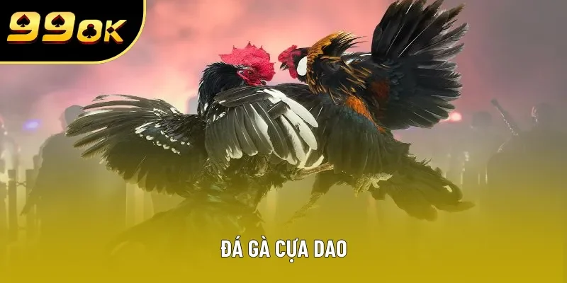 da ga cua dao