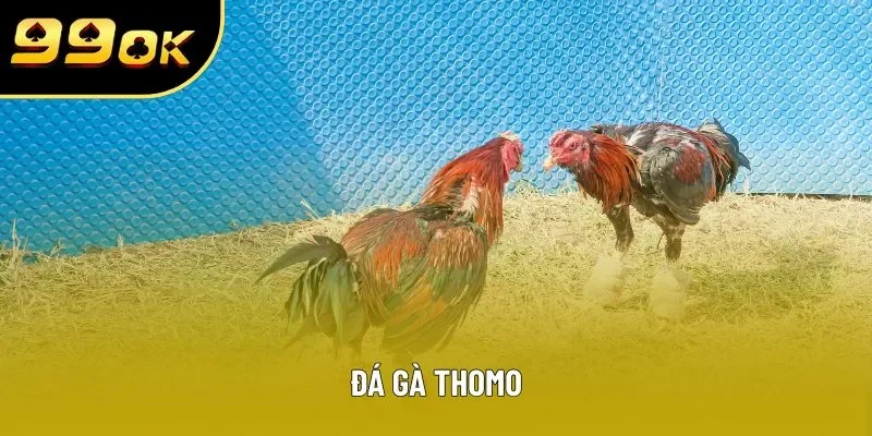 da ga thomo avt