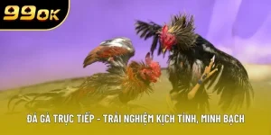 da ga truc tiep trai nghiem kich tinh minh bach