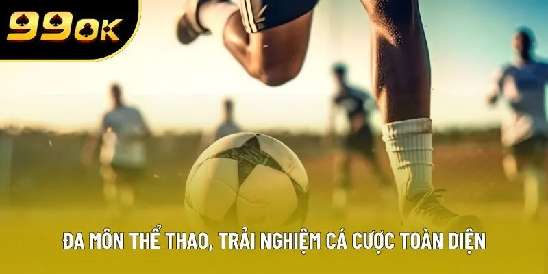 Đa môn thể thao, trải nghiệm cá cược toàn diện