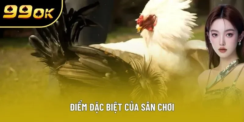 Điểm đặc biệt của sân chơi Điểm đặc biệt của sân chơi