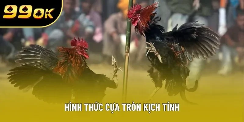 Hình thức cựa tròn kịch tính Hình thức cựa tròn kịch tính