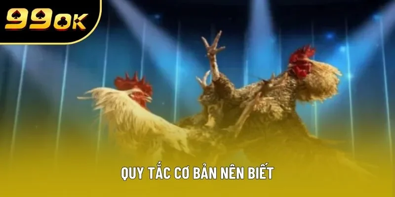 Quy tắc cơ bản nên biết